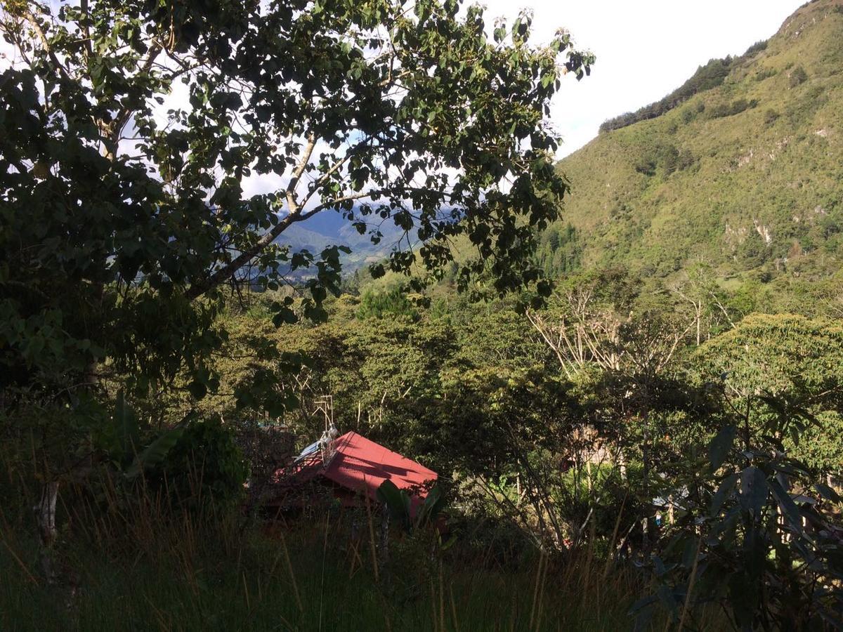 Illariy Tampu Ecoalbergue Oxapampa Bagian luar foto